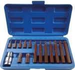 Embout hexagonal Torx® de T20 à T55 avec douille 1/2 porte embout - coffret PVC de 15 pcs