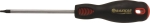 Tournevis Torx® T10 100mm