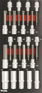 Module mousse 395x178mm métal douilles longues/embouts Torx® et hexagonal - 21 pcs